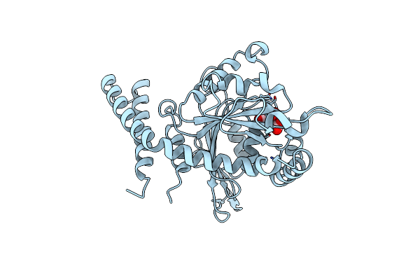 4H1U image