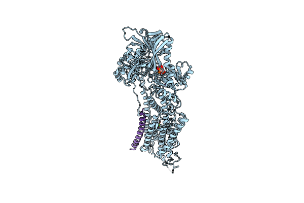 4H1W image