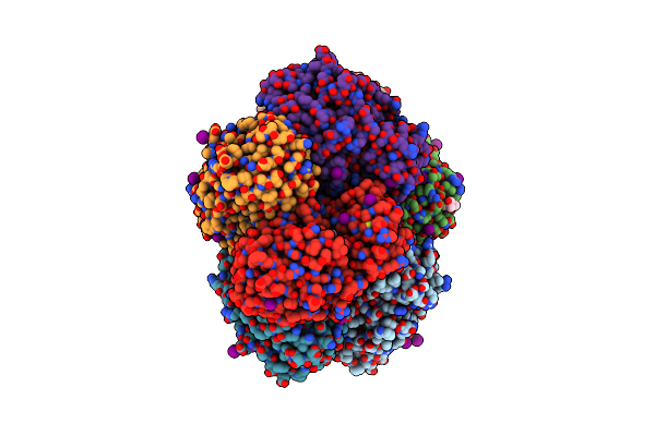 4H2H image
