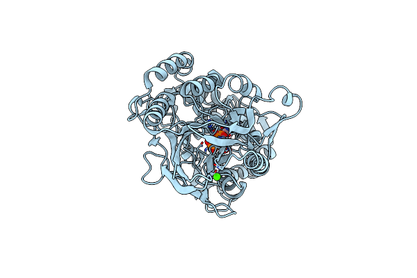 4H2I image