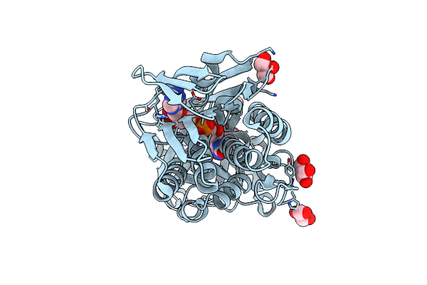 4H2Q image