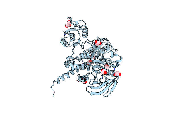 4H34 image
