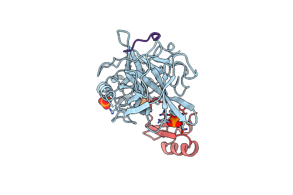 4H4F image