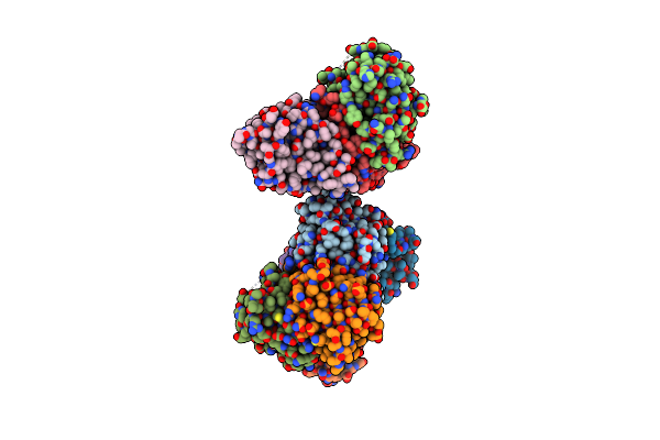 4H4G image