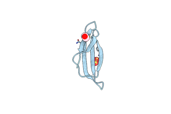 4H4N image