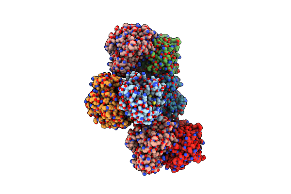 4H6D image