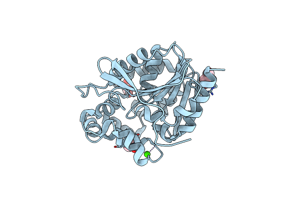 4H77 image