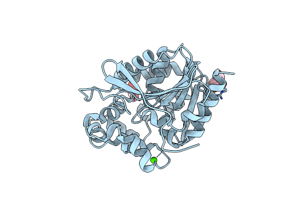 4H7D image