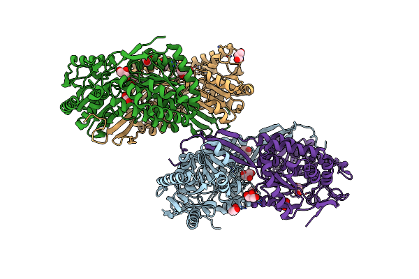 4H7N image