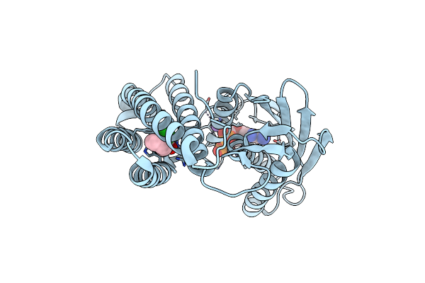4H81 image