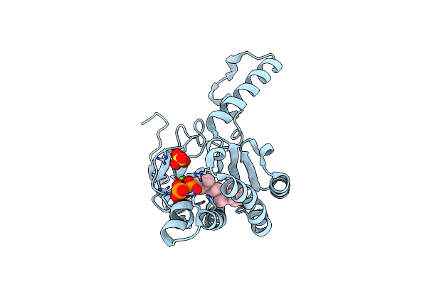 4H8E image