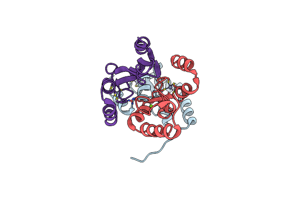 4H9D image