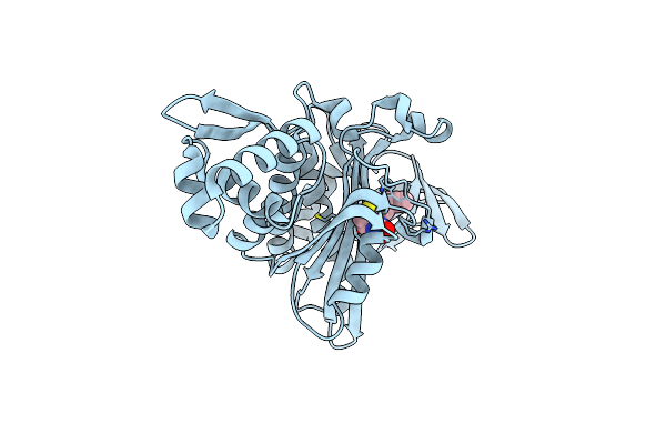 4HA8 image