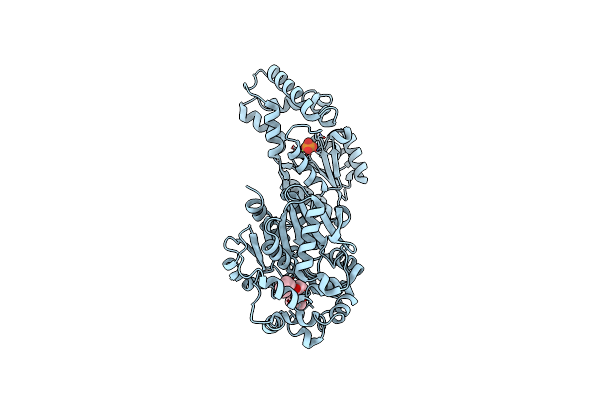 4HAI image