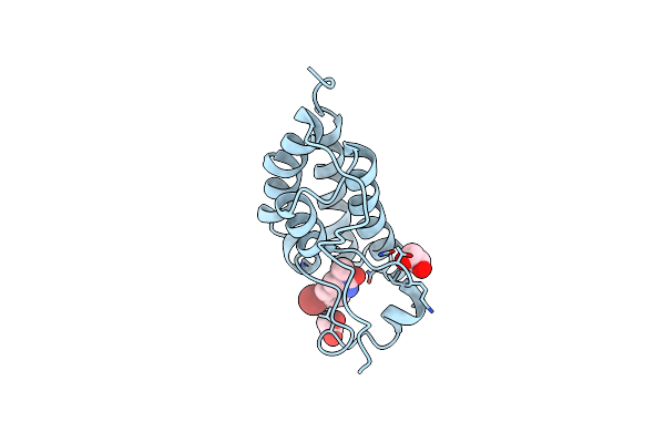 4HBV image