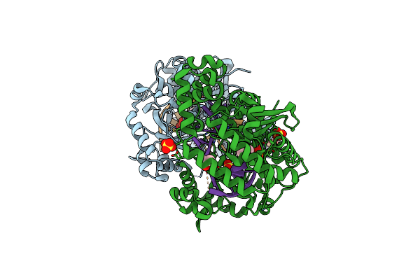 4HCC image