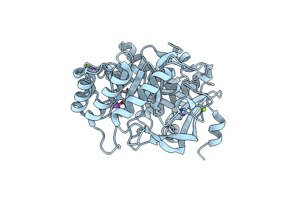 4HCD image