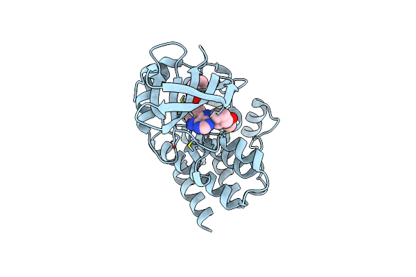 4HCV image
