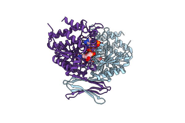 4HCX image