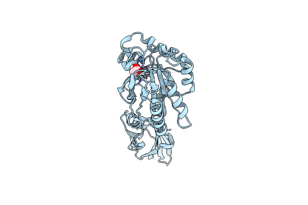 4HD5 image