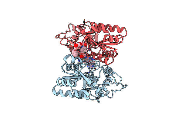 4HDA image