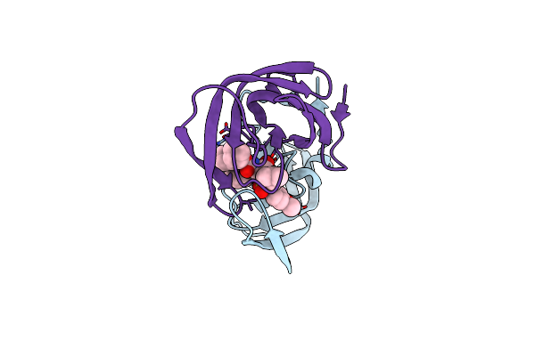 4HDF image