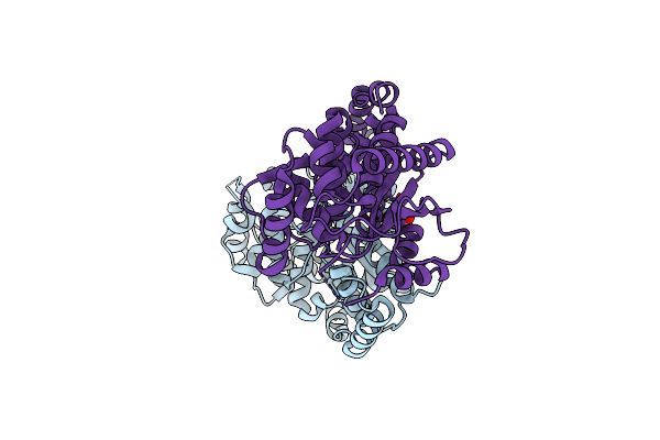 4HDM image