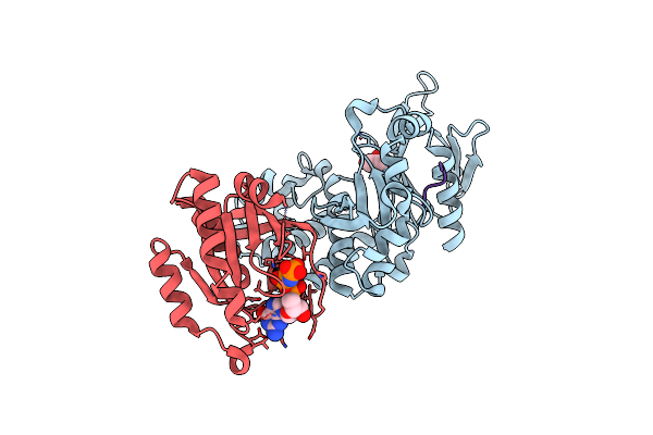 4HDQ image