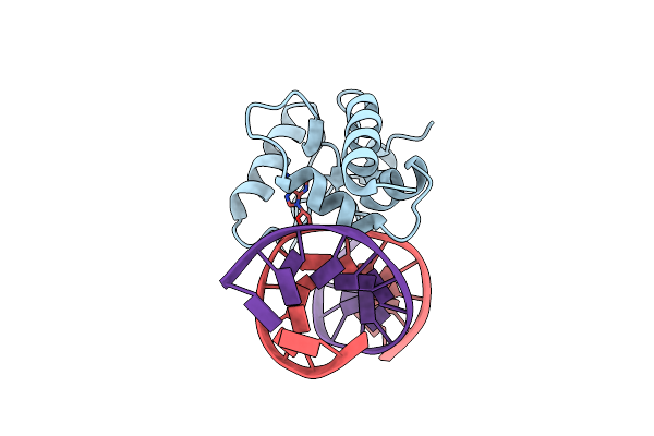 4HDV image