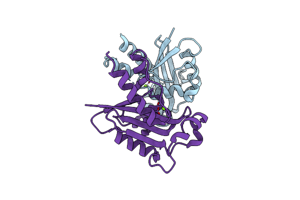 4HEC image