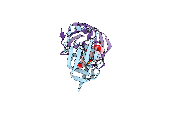 4HEG image