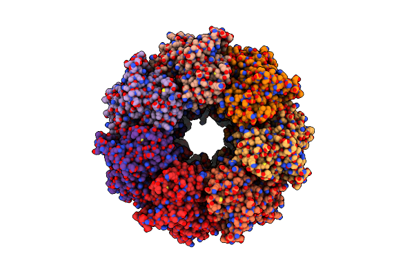4HEL image