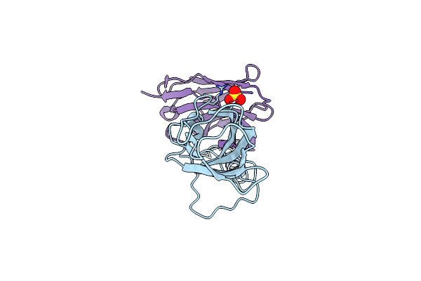 4HEP image