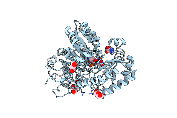 4HF8 image
