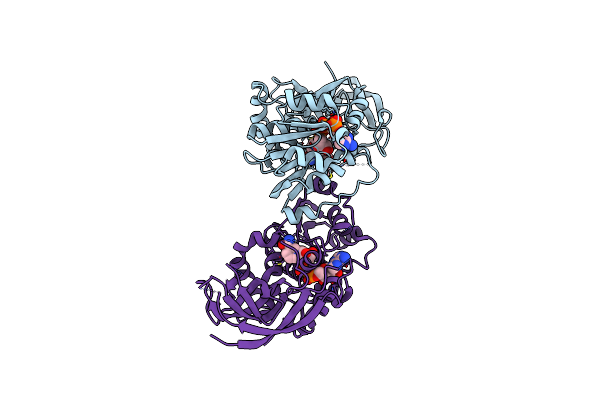 4HFN image