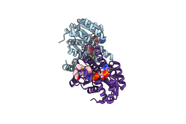 4HFR image