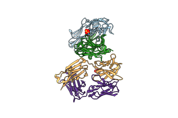 4HFW image