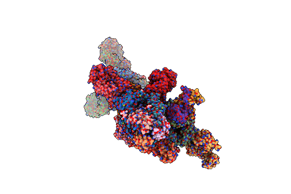 4HG4 image