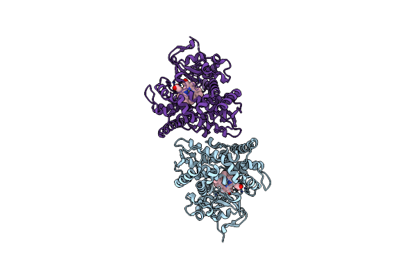 4HGF image