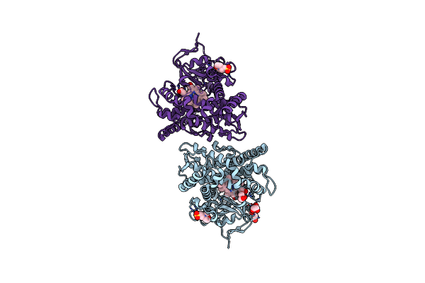 4HGH image