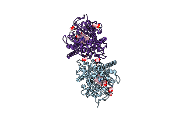 4HGI image