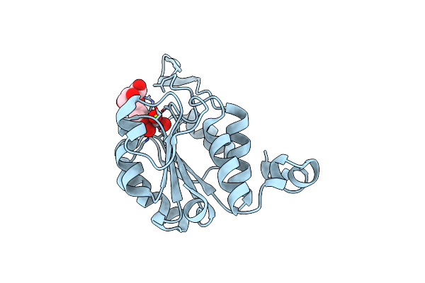 4HGP image