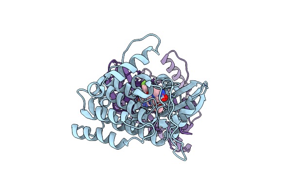 4HGT image