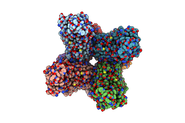 4HHH image