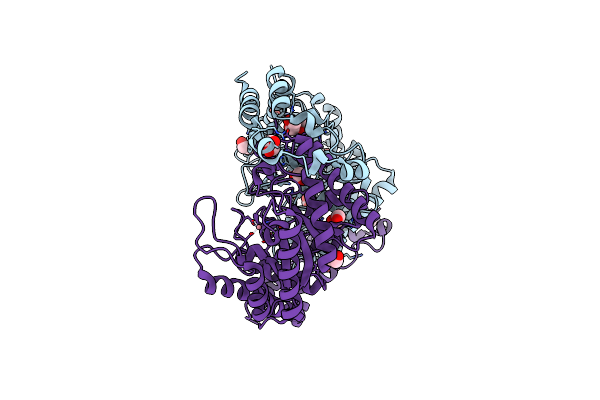 4HHL image