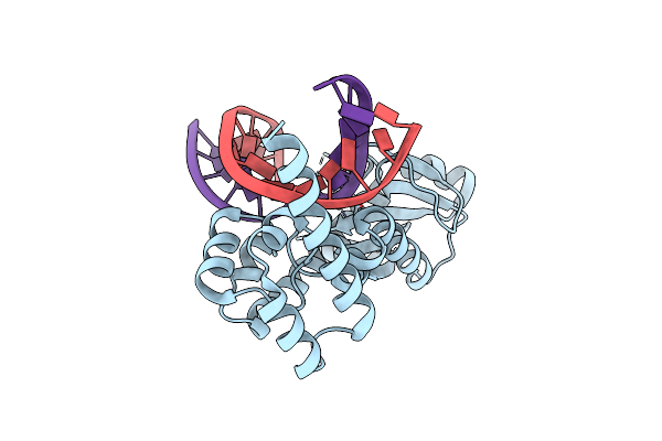 4HHT image