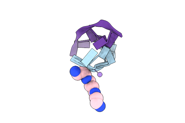 4HIG image
