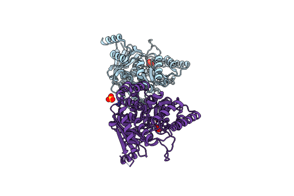 4HL7 image
