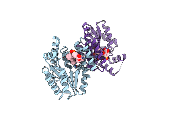 4HLC image