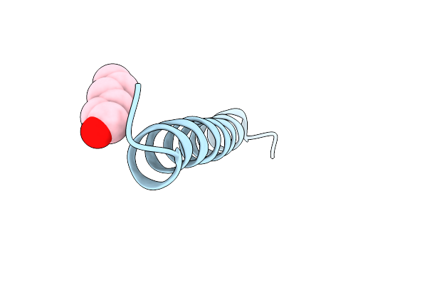 4HLR image